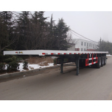 Three Axle 40 Feet Container Semi-Trailer (TAZ9406TJZ)